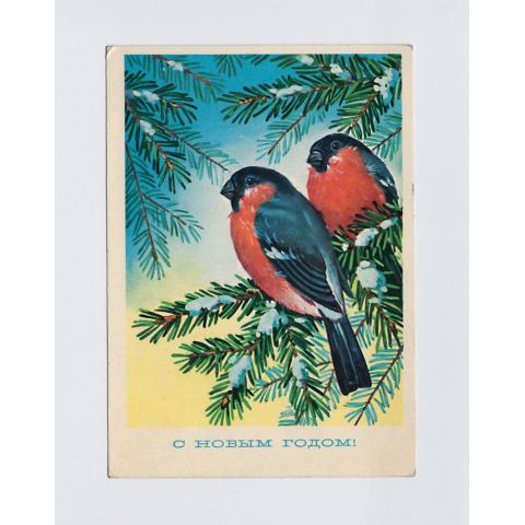 Анимированная открытка ЗИМА зимние птицы